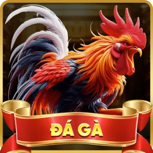 Tin tức casino trực tuyến