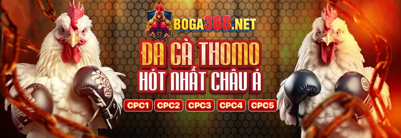 Đá gà trực tuyến kịch tính tại m99 login